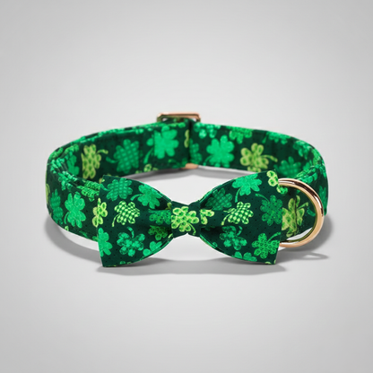 Green dog collar with shamrock pattern on a gray background