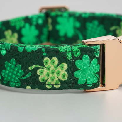 Green dog collar with shamrock pattern and rose gold buckle on a light gray background