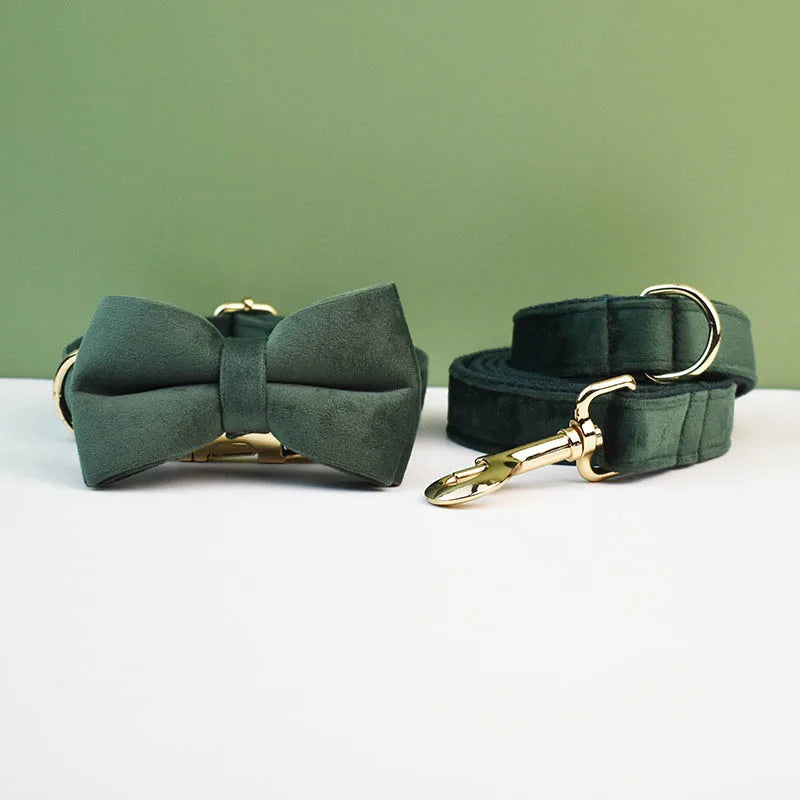 Green dog bow tie and leash set with gold hardware on a white surface and green background