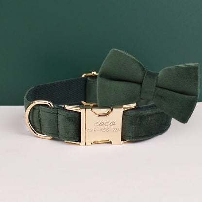 Green dog collar with a bow and gold clasp on a white surface with a green background