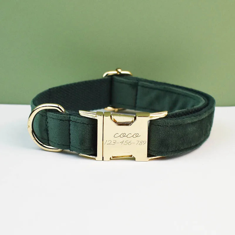 Green dog collar with gold hardware on a white surface and green background
