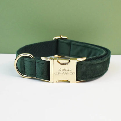 Green dog collar with gold hardware on a white surface and green background