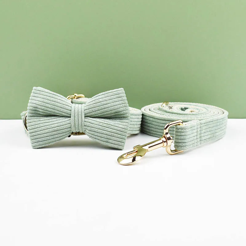 Light green bow tie and matching leash on a white surface with a green background