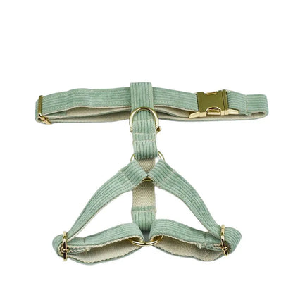 Light green dog harness with gold hardware on a white background
