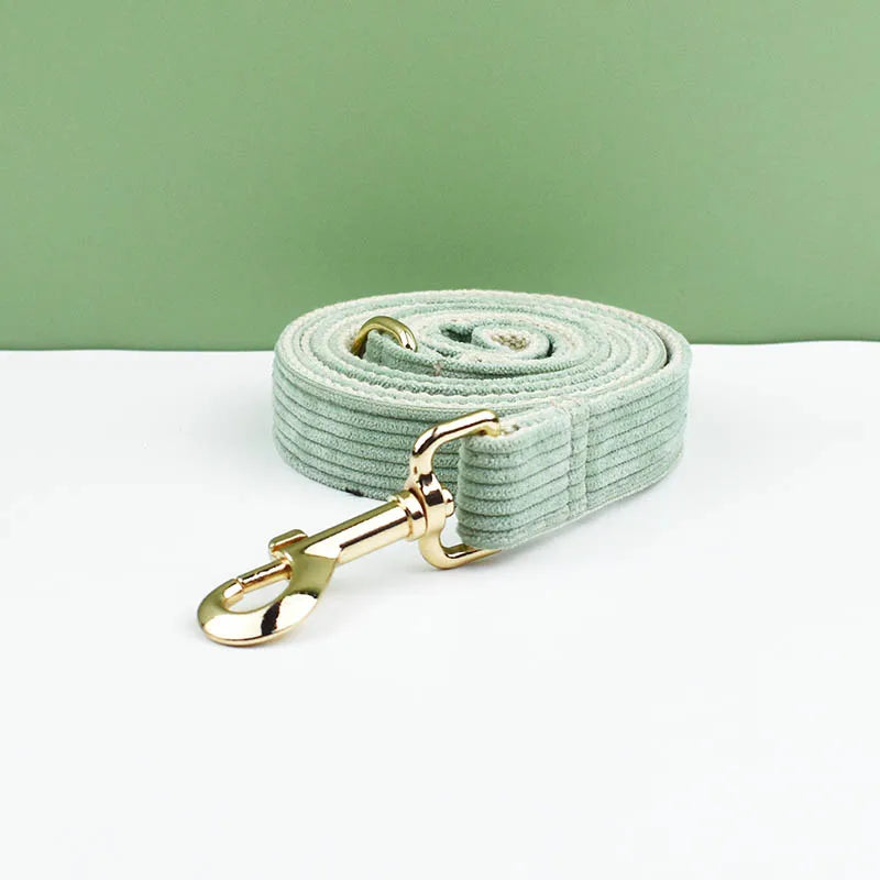 Light green dog leash with gold clip on a white surface against a green background