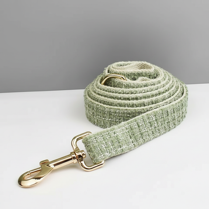 Green textured dog leash with gold clip on a white surface