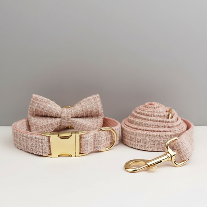 Dog collar with bow tie, leash, and bowl set on a light gray background