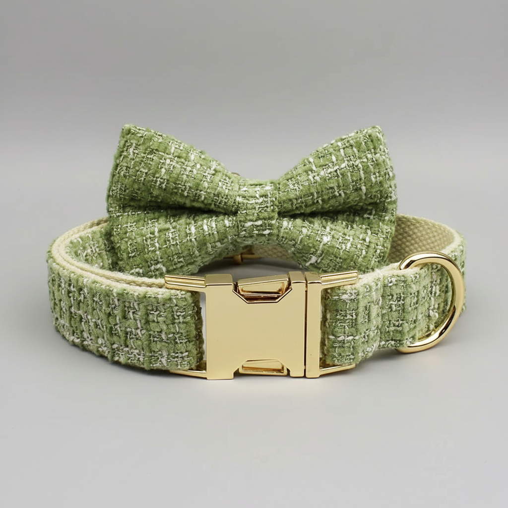 Green textured dog collar and bow tie set on a gray background