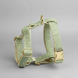 Green dog harness with gold hardware on a gray background