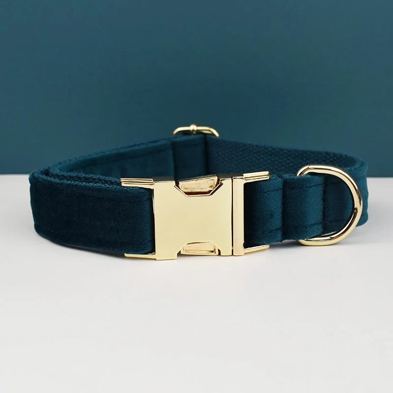 Dark green dog collar with gold buckle on a white surface and teal background