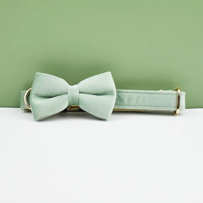 Light green bow tie and collar set on a white surface with a green background