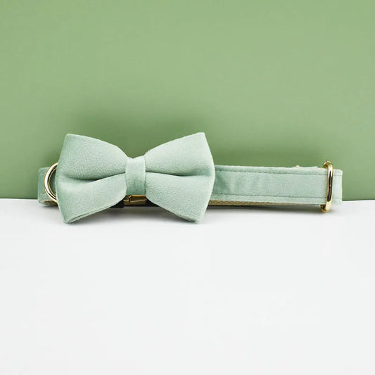 Light green bow tie and collar set on a white surface with a green background