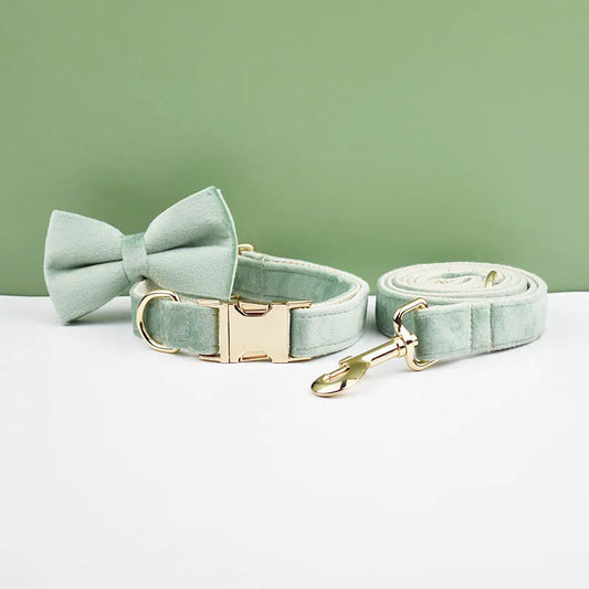 Mint green dog collar with bow tie and matching leash on a white surface with a green background