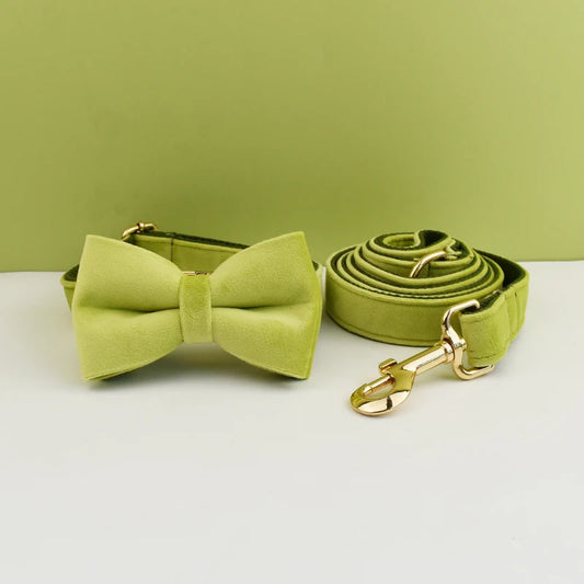 Green bow tie and matching leash set on a light green background