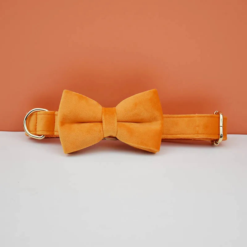 Orange velvet bow tie and collar set on a peach background
