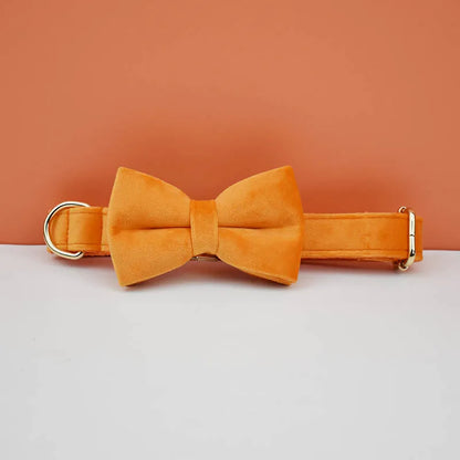 Orange velvet bow tie and collar set on a peach background