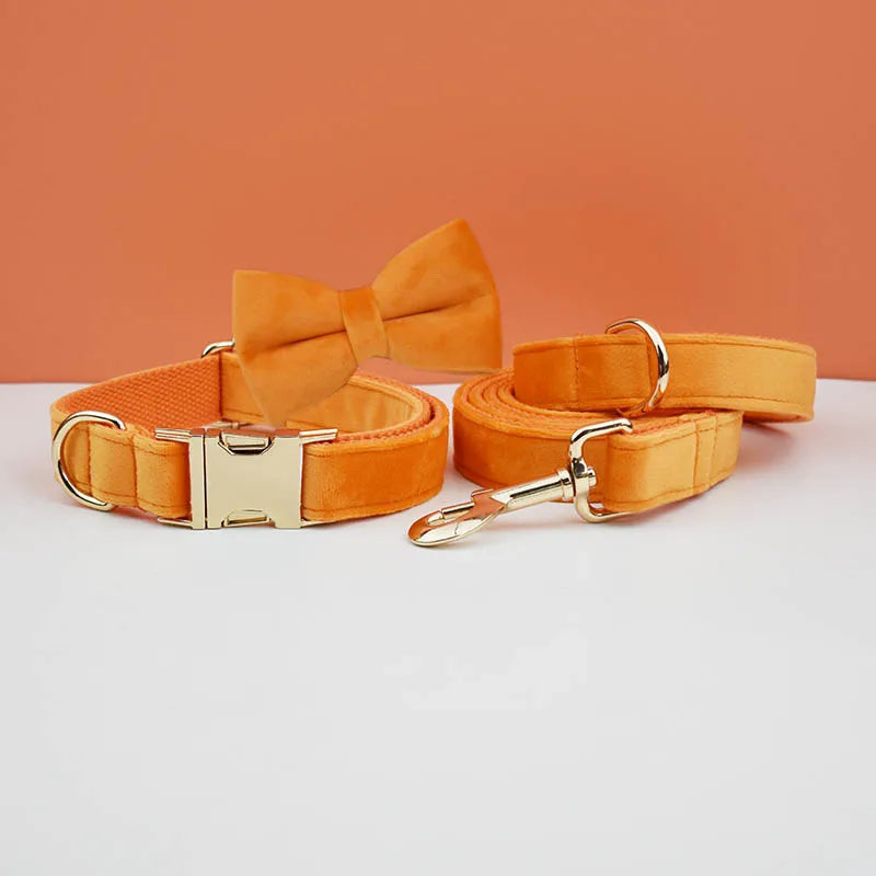 Orange dog collar, leash, and bow tie set on a white surface with an orange background