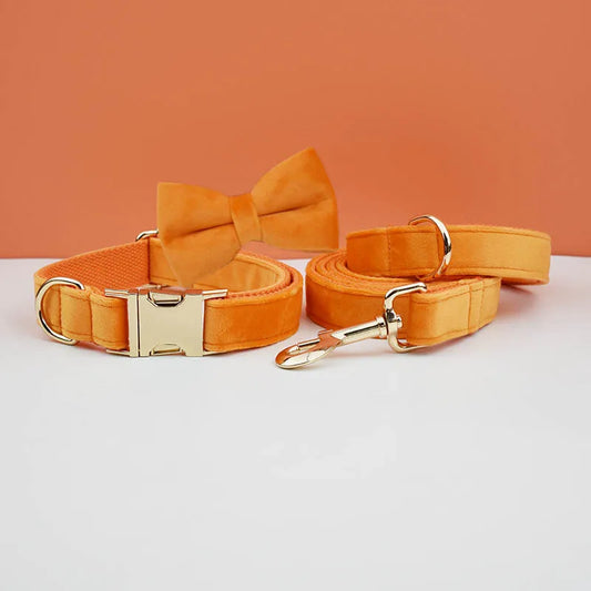 Orange dog collar, leash, and bow tie set on a white surface with an orange background