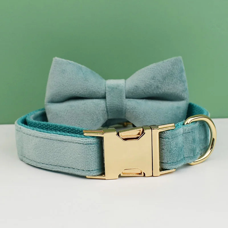 Teal dog collar with a bow tie and gold buckle on a white surface with a green background