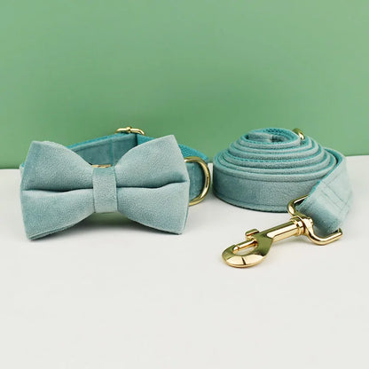 Teal dog collar with bow tie and matching leash on a white surface with a green background