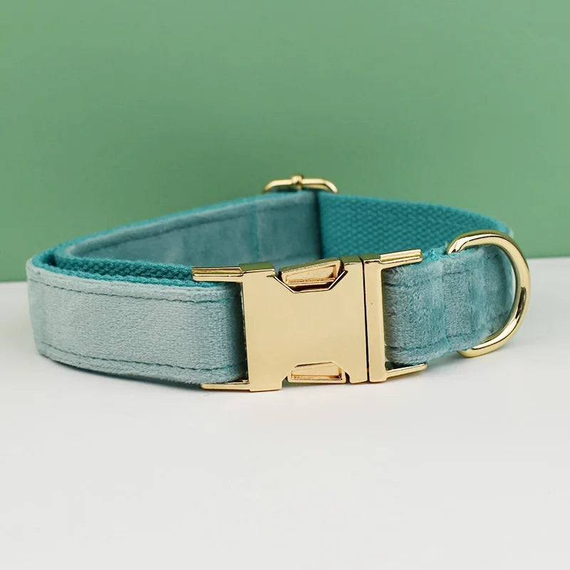Teal dog collar with a gold buckle on a light gray surface and green background