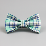 Green and blue plaid bow tie on a gray background