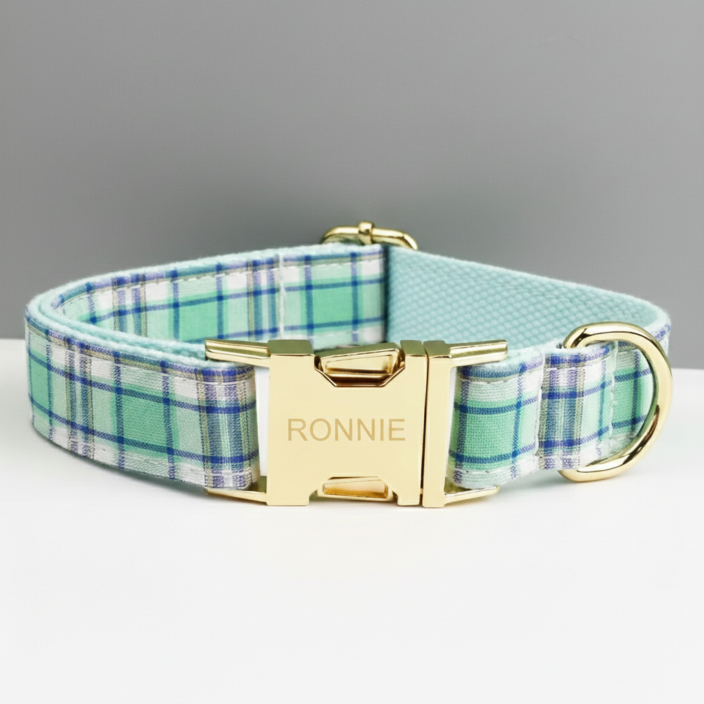 Dog collar with plaid pattern and gold buckle on a gray background