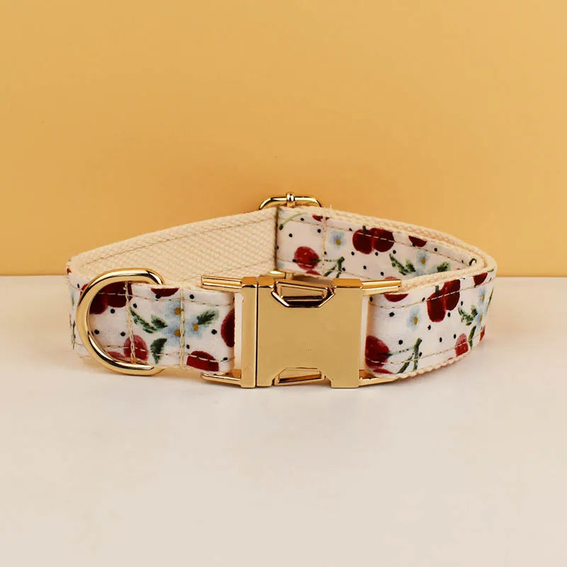 Dog collar with floral pattern and gold buckle on a beige background