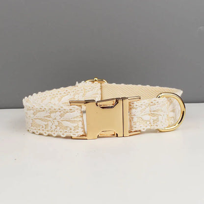 Dog collar with gold buckle on a gray background