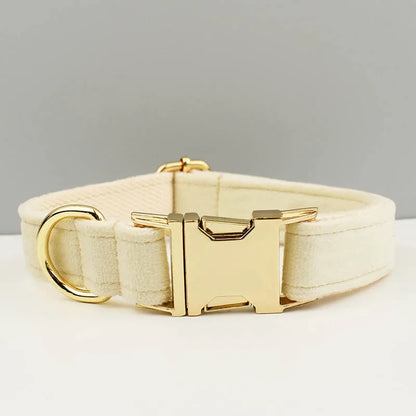 Cream-colored dog collar with gold hardware on a light gray background