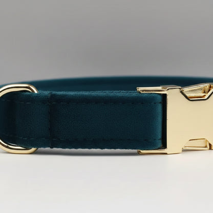 Midnight Canopy Collar