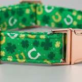 Green dog collar with shamrock and horseshoe pattern on a light gray background