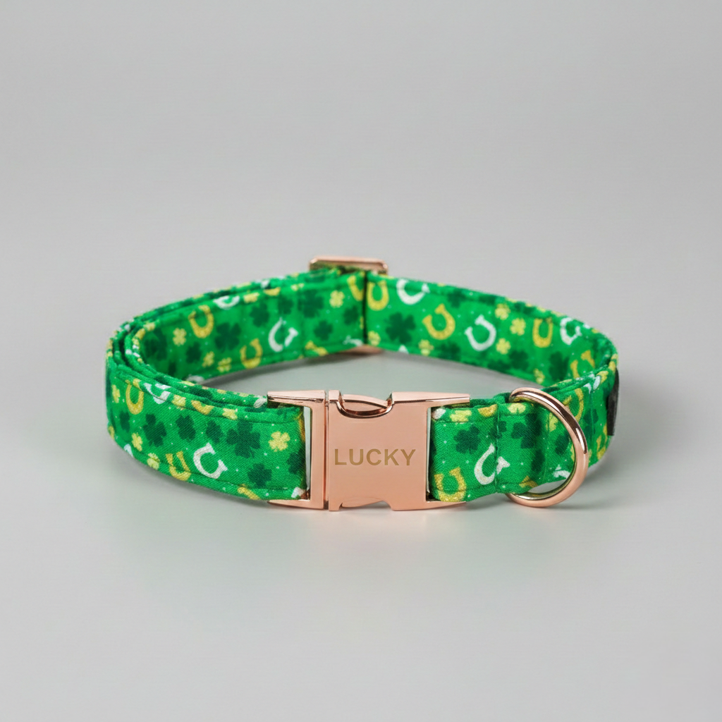 Green dog collar with gold accents and 'LUCKY' buckle on a gray background