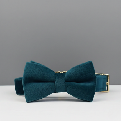 Midnight Canopy Collar