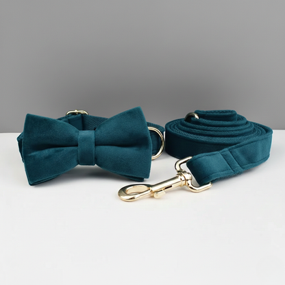 Midnight Canopy Collar