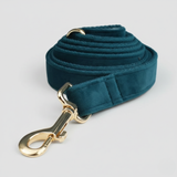 Teal dog leash with gold clasp on a light gray background