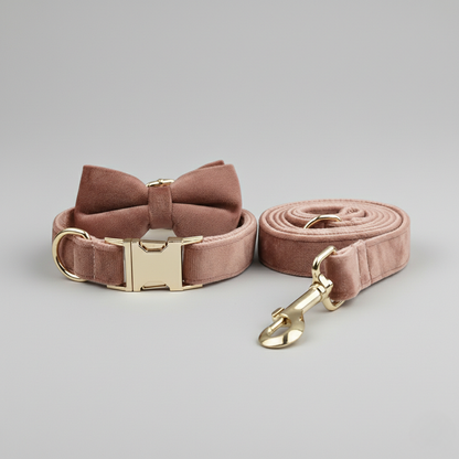 Dog collar and leash set with gold hardware on a gray background