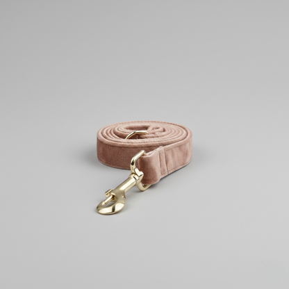 Pink velvet dog leash with gold clasp on a light gray background