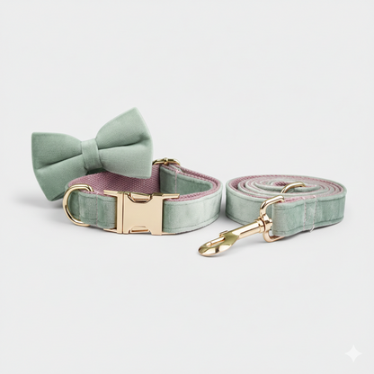 Dog collar with bow tie and matching leash on a light gray background