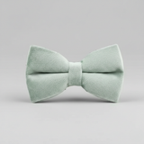 Light green bow tie on a gray background