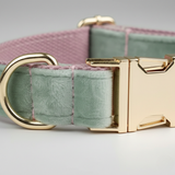 Two plaid dog collars with gold hardware on a light gray background