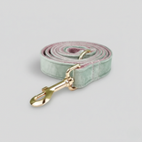 Dog leash with gold clasp on a light gray background