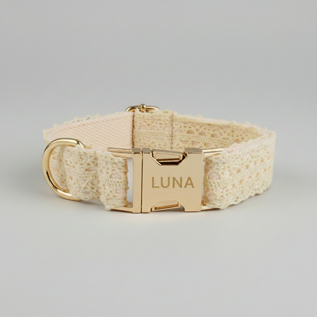 Beige dog collar with gold buckle and 'LUNA' engraving on a light gray background