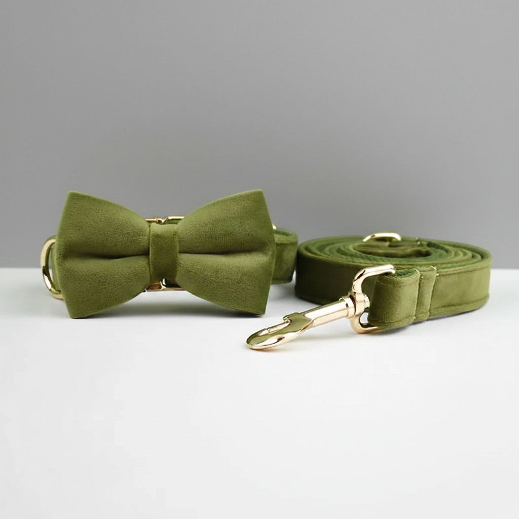 Green bow tie and matching leash with gold hardware on a gray background