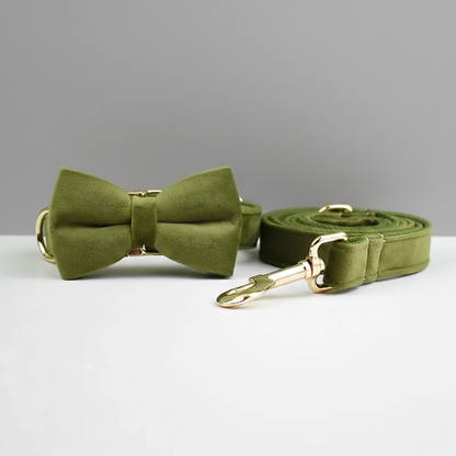 Green bow tie and matching leash with gold hardware on a gray background