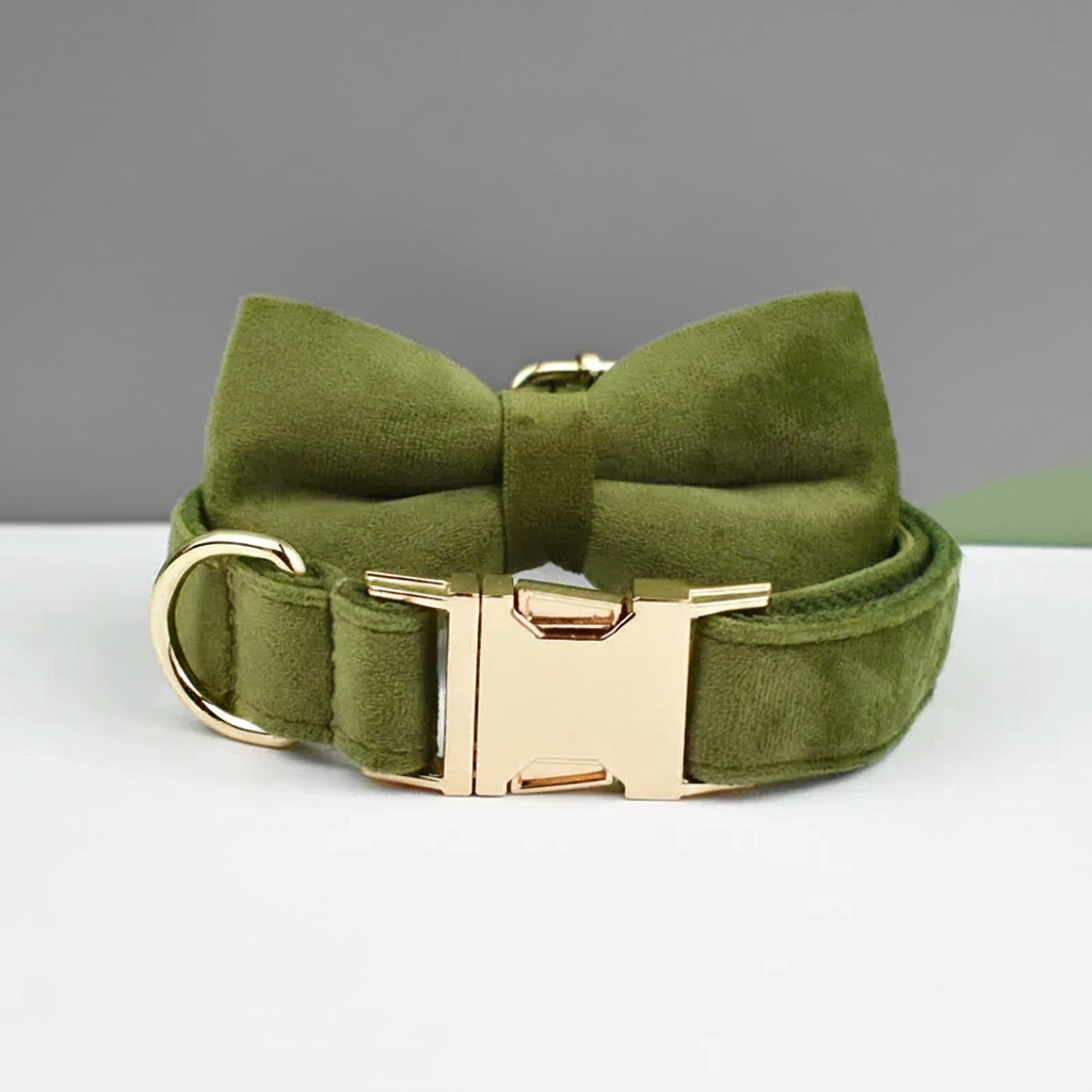 Green dog collar with a bow and gold hardware on a gray background