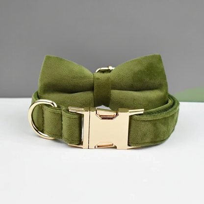 Green dog collar with a bow and gold hardware on a gray background