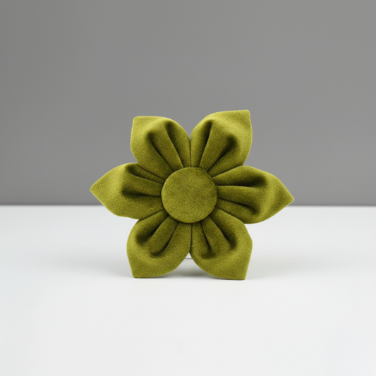 Green flower-shaped object on a white surface with a gray background