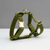 Green dog harness with gold hardware on a white surface and gray background