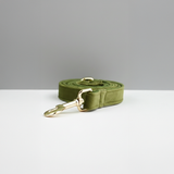 Green dog leash with gold clasp on a white surface